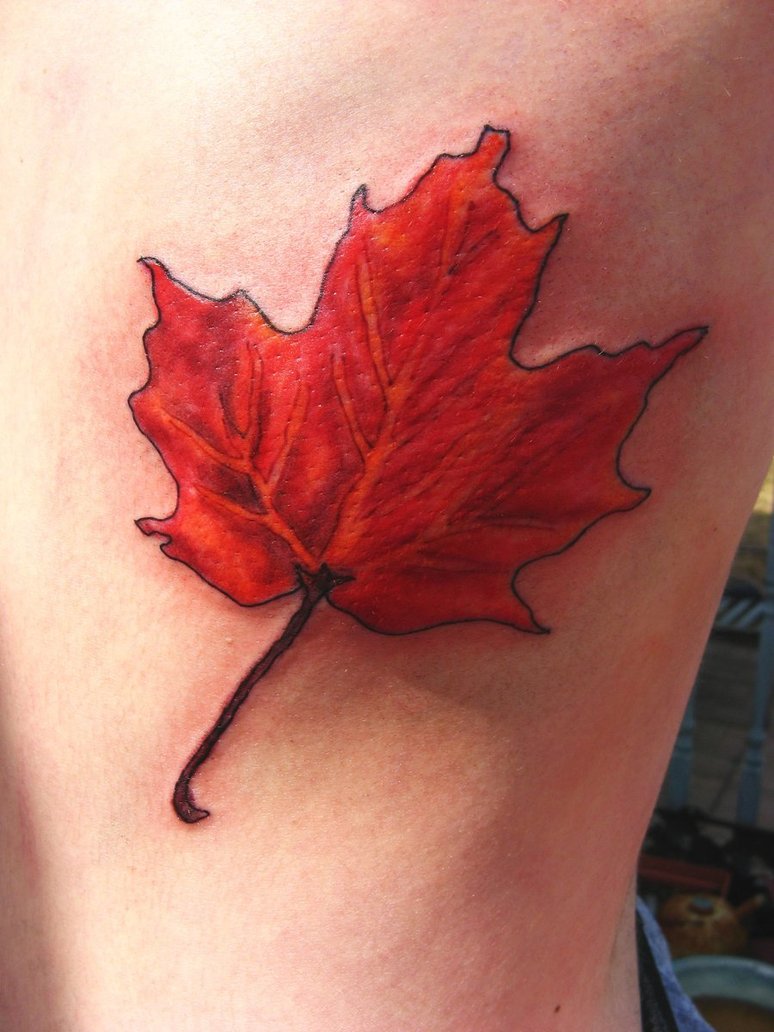 maple_leaf_tattoo_by_cassienoble