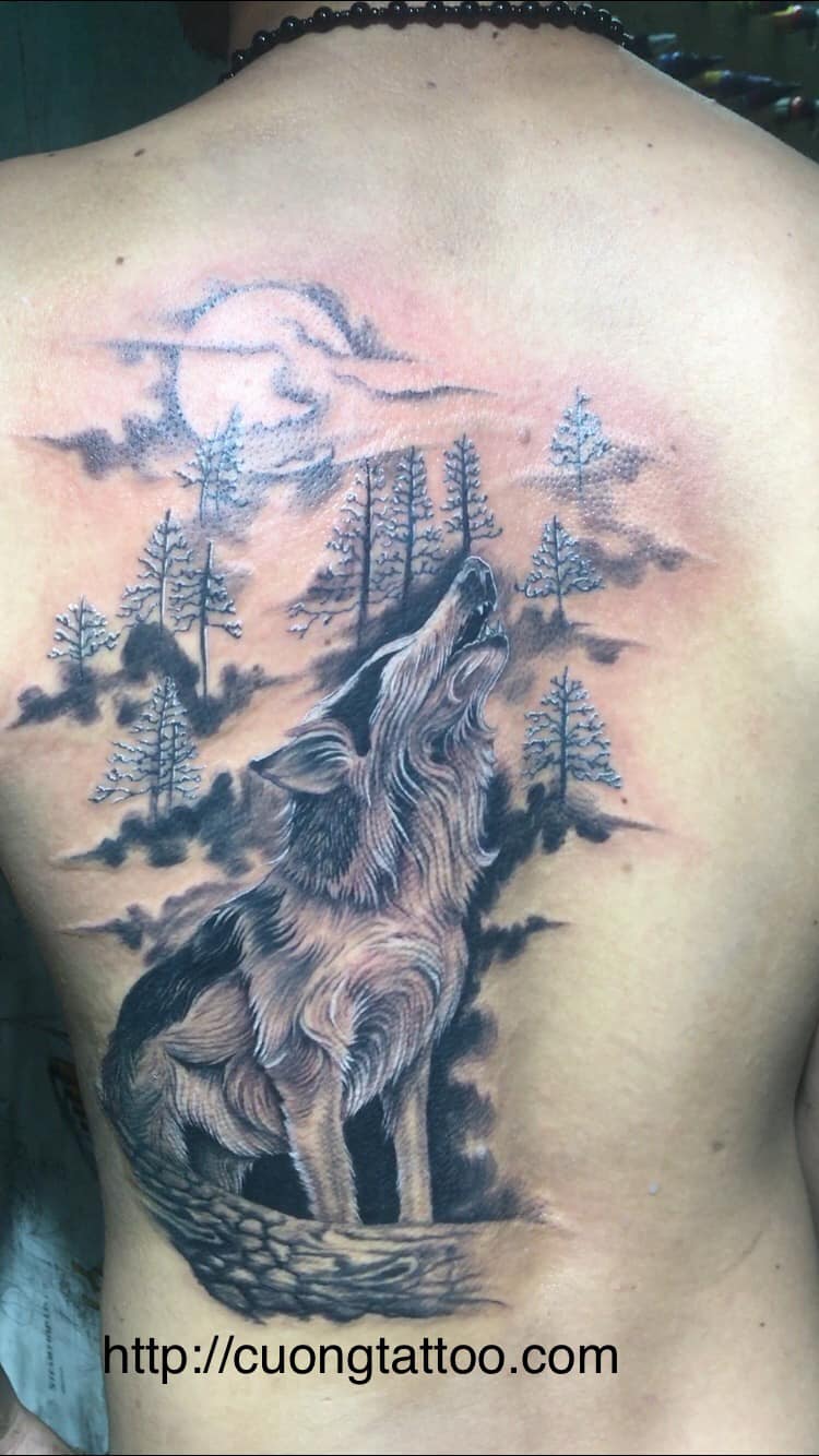 Han ink Tattoo  Hình xăm chó sói phổ biến hiện nay thường đại diện cho  nhiều niềm tin thái độ và đặc điểm cá nhân khác nhau Nhiều người thường  dựa